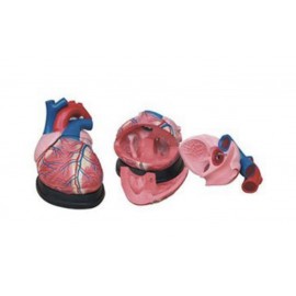 COEUR AGRANDI 4 FOIS 3 PIÈCES